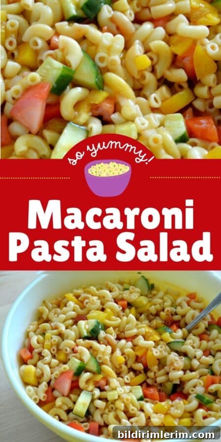 Macaroni Salad with Tangy Ketchup Dressing 8 Macaroni pasta salad