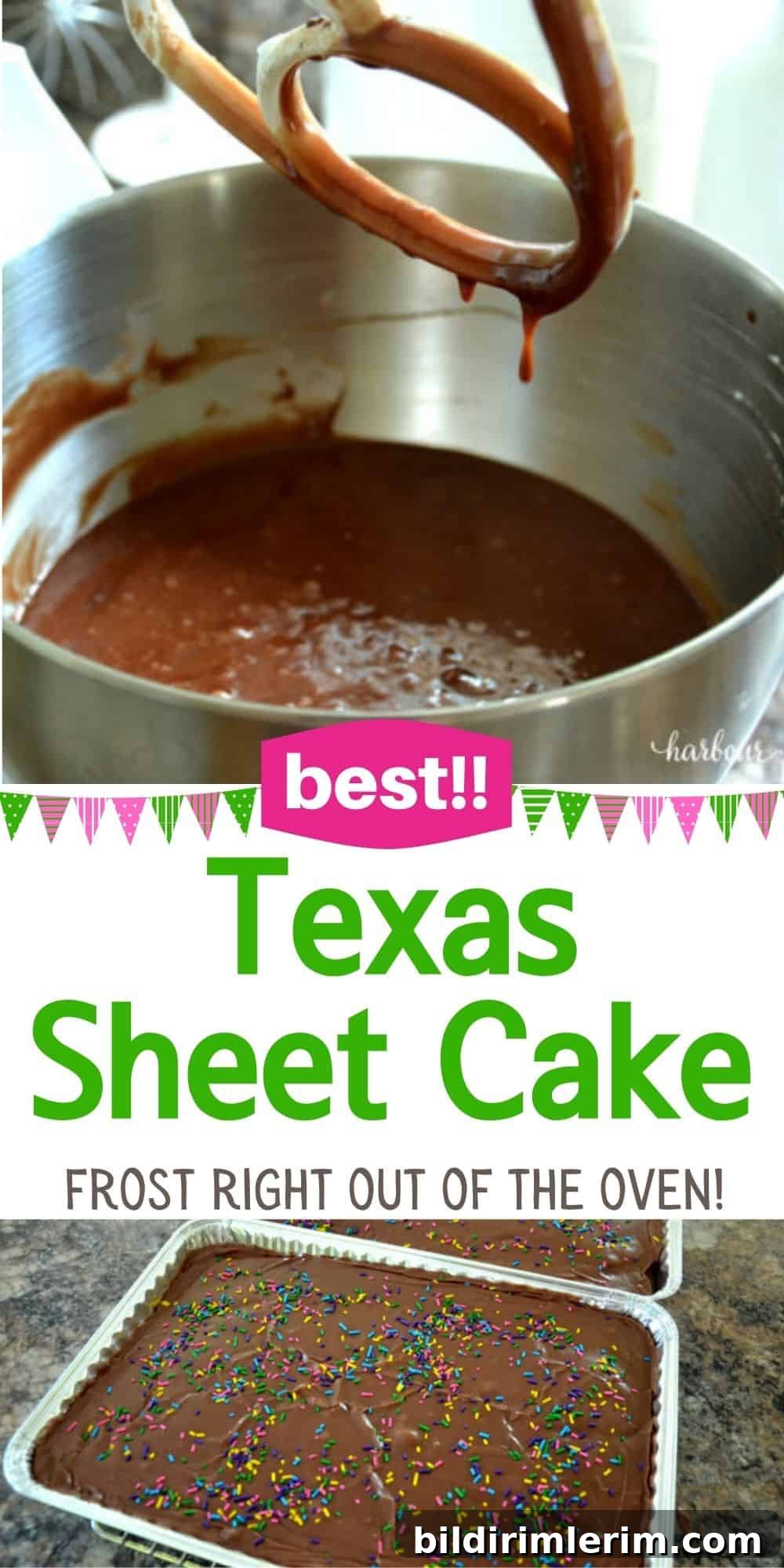 picture of Texas Sheet Cake with the text 'best texas sheet cake' over it