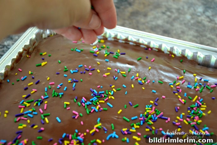 Iced Texas Sheet Cake with sprinkles being put on the top