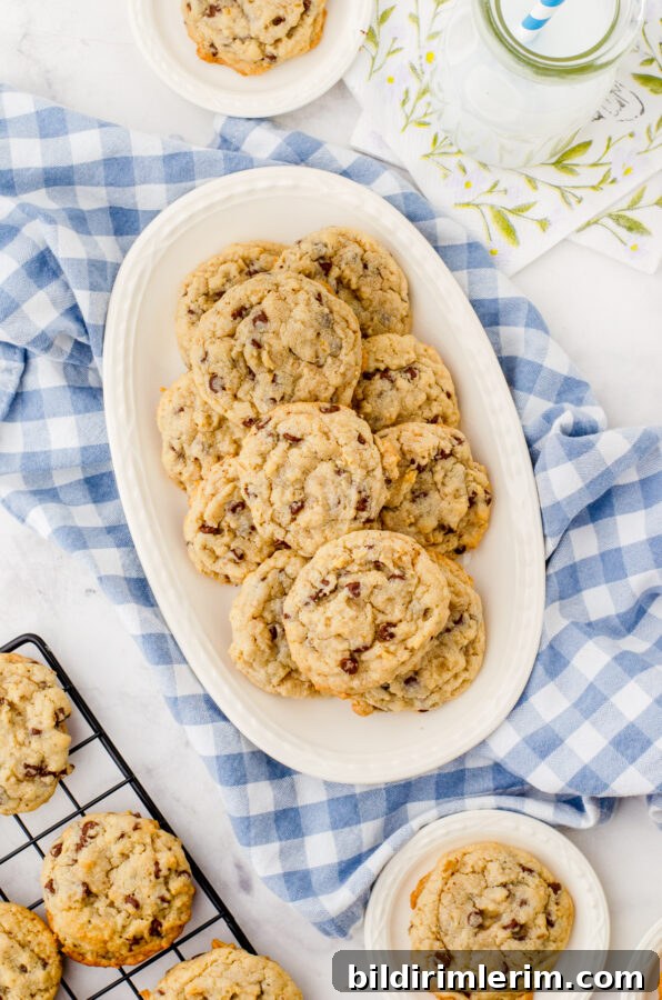 soft and chewy chocolate chip oatmeal cookies a platter of oatmeal chocolate chip cookies