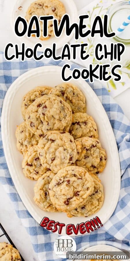 Oatmeal Chocolate Chip Cookies: Chewy Homemade Recipe 5 Plate of oatmeal chocolate chip cookies