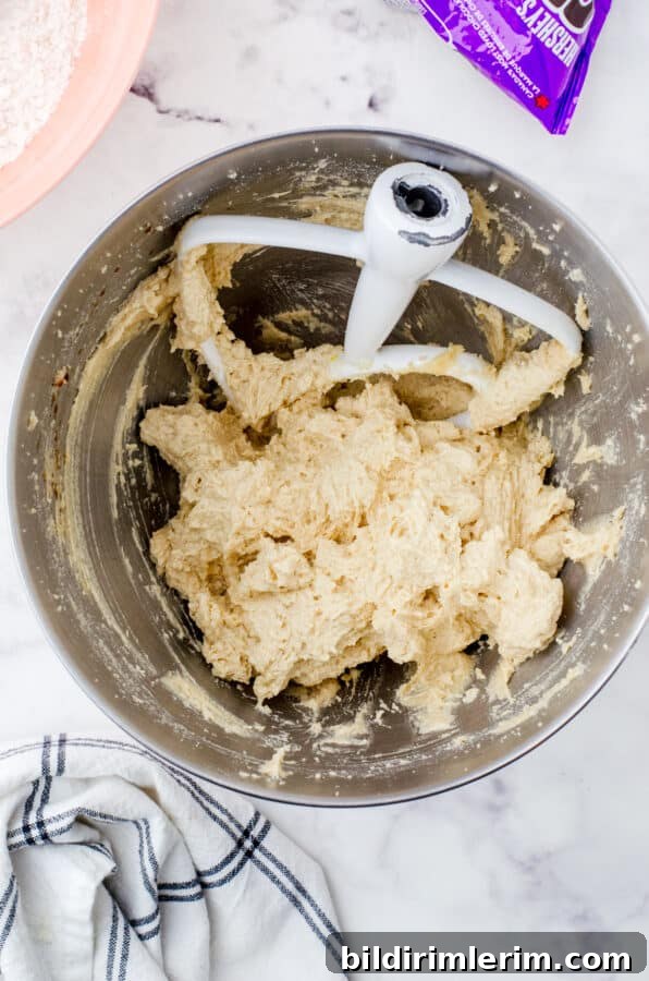 Oatmeal Chocolate Chip Cookies: Chewy Homemade Recipe 3 Butter, sugars, eggs, and vanilla mixed together in electric mixer bowl for oatmeal chocolate chip cookies