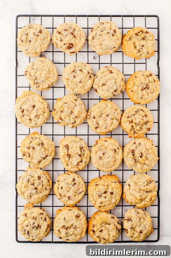 Oatmeal Chocolate Chip Cookies: Chewy Homemade Recipe 4 oatmeal chocolate chip cookies cooling on a cooling rack