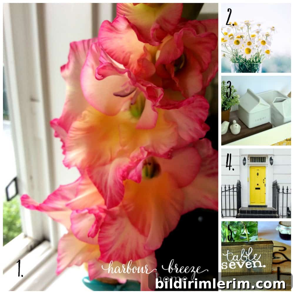 Summer Recap ~ faith and family posts on harbour breeze home