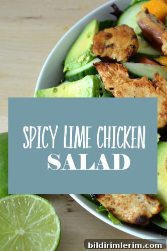 SPICY CHICKEN PINTEREST