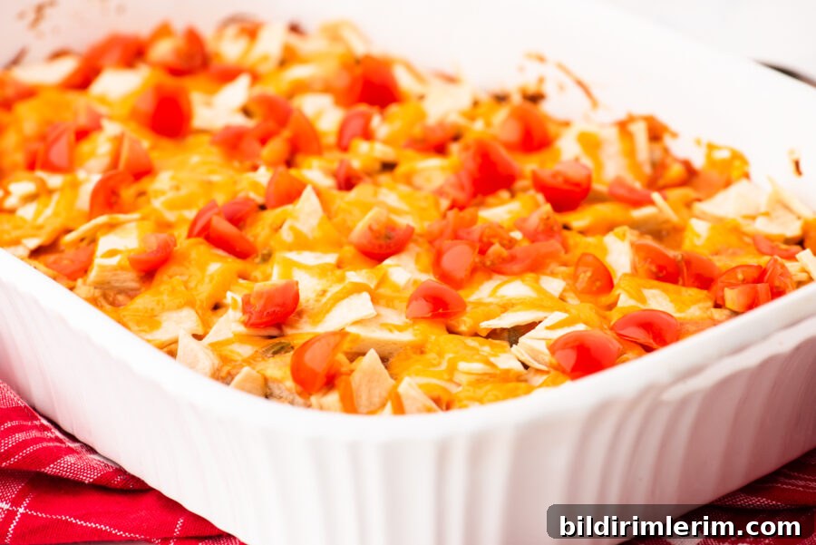Cheesy One-Pan Mexican Chicken Casserole 2 Mexican Chicken Casserole baked in a 9 x 13 inch pan.