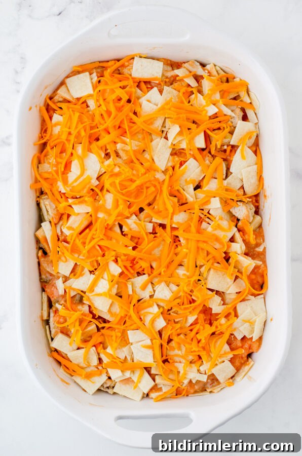 Cheesy One-Pan Mexican Chicken Casserole 9 Shredded cheddar cheese on the top of layered Mexican Chicken Casserole