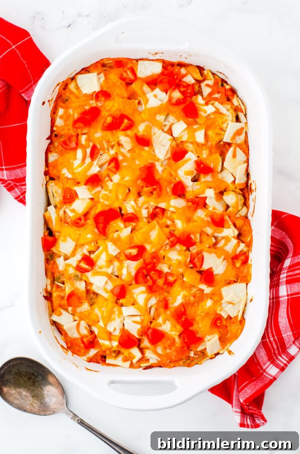 Cheesy One-Pan Mexican Chicken Casserole 10 Baked Mexican Chicken Casserole topping with chopped fresh tomatoes.