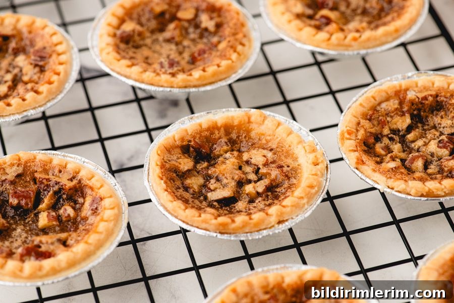Butter Tart Recipe Using Store-Bought Shells 6 A row of butter tarts cooling on a rack